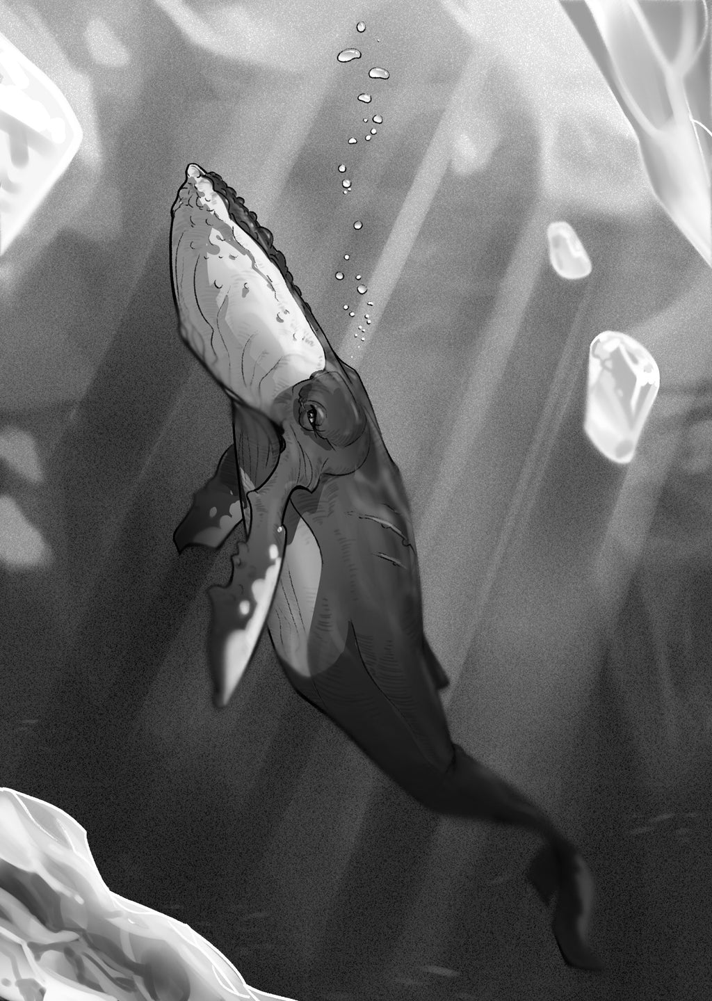 Jääkide ja Arktis herää (UUTUUS!)